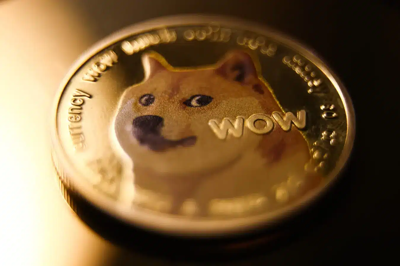 155,000,000 DOGE Stuns Robinhood — What’s Going On?